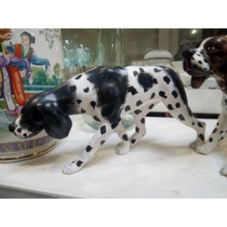 CHIEN DE CHASSE BRUN