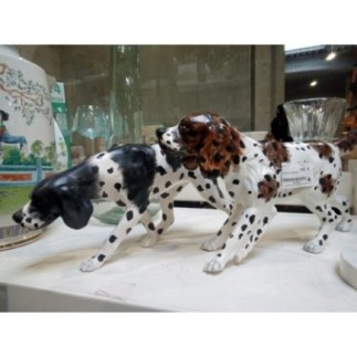 CHIEN DE CHASSE BRUN