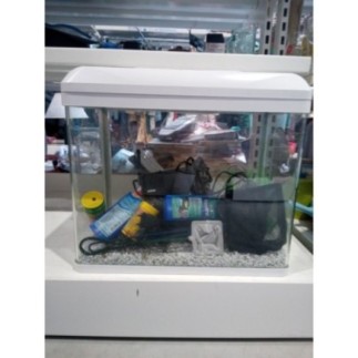 AQUARIUM