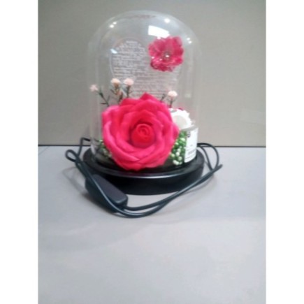 LAMPE DECO ROSE
