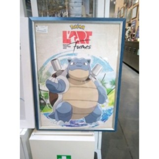 CADRE POKEMON 