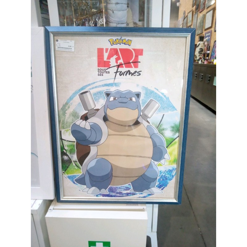 CADRE POKEMON 