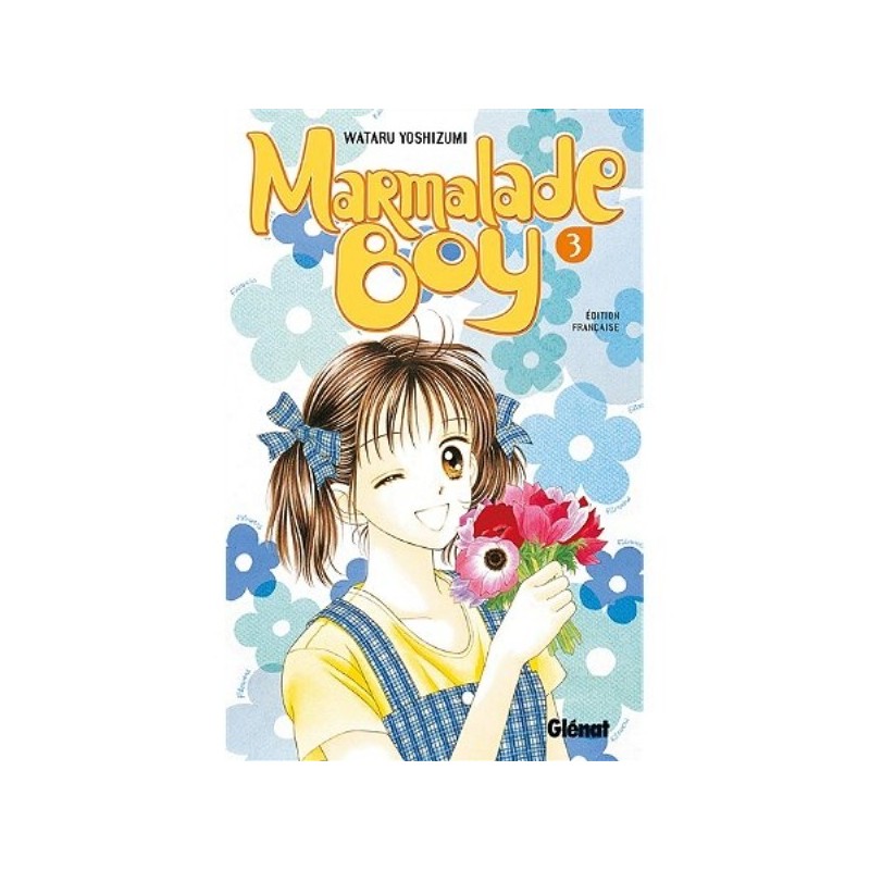 MARMALADE BOY - TOME 3 (MANGA)