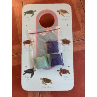 CORNHOLE NATURE ET DECOUVERTES