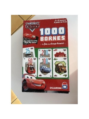 1000 BORNES CARS