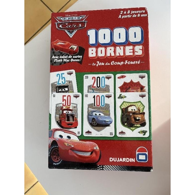 1000 BORNES CARS