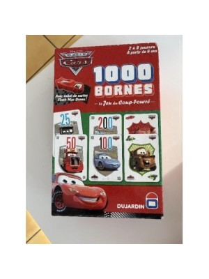 1000 BORNES CARS