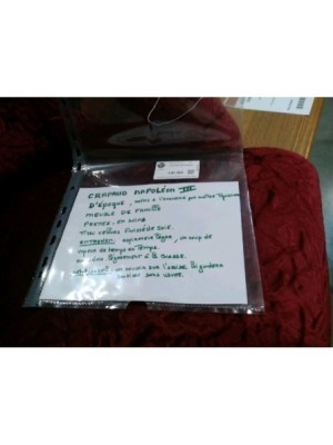 FAUTEUIL NAPOLÉON III