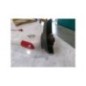 COUPE BORDURE STERWINS