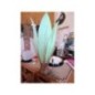 lampe 